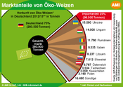(c) AMI Pie Chart